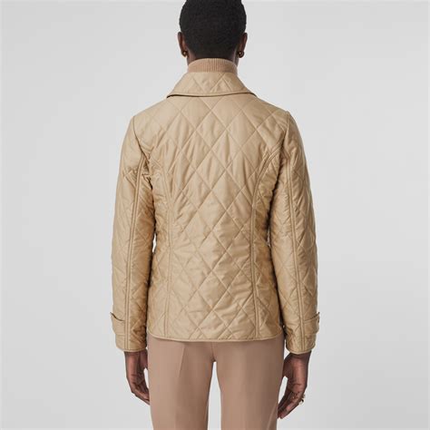 chino burberry|Quilted Thermoregulated Jacket in New chino .